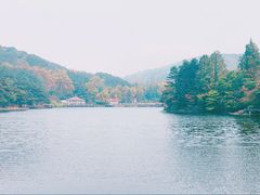 -庐山风景区花径公园