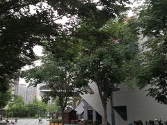 -徐记私厨(半淞园路店)