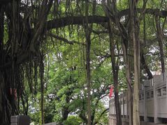-船政文化景区-罗星塔公园