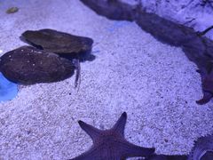 -多彩贵州城极地海洋世界