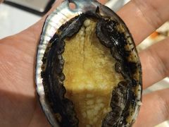 -半岛听涛蒸汽海鲜自助(K11店)