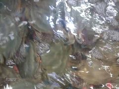 -雅逸居海鲜小厨