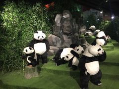 -成都泰迪熊博物馆