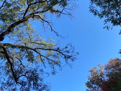 -北京西山国家森林公园