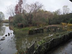 -新江湾城公园