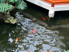 -广州白天鹅宾馆