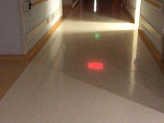 -首都医科大学附属北京天坛医院