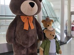 -济州岛泰迪熊博物馆