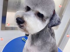 -佳雯宠物医院(金华南路分院)