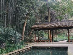 -杭州植物园