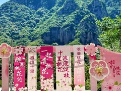 -青龙山生态文化旅游区(慈云寺)