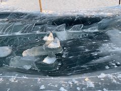 -长春市南湖公园