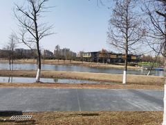 -南汇新城城市公园