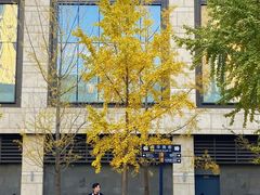 -京A Taproom·精酿餐吧(CBD店)