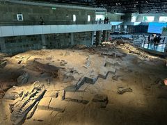 -自贡恐龙博物馆