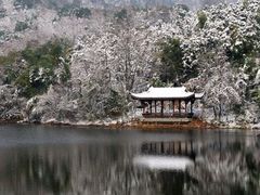 -杭州半山国家森林公园