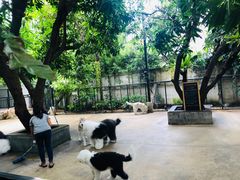 -TrueLove @ Neverland (Husky Cafe)