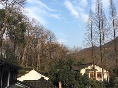 -嘉龙茶庄