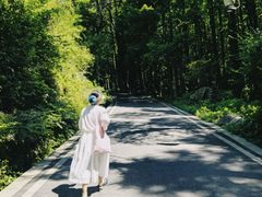 -山王坪喀斯特国家生态公园