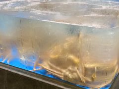 -艳阳天·非遗楚菜(武汉客厅店)