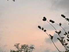 -白石龙音乐公园