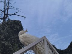 -J Create城市露营咖啡·简餐·宠物(上海动物园店)