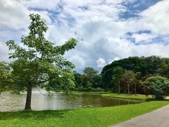 -中国科学院西双版纳热带植物园
