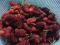 -天润发屯溪元一店(元一大观上河城店)