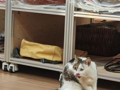 -思南书局(复兴中路店)