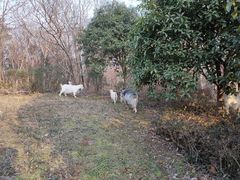 -南京市江宁方山