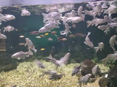 -常州海昌海洋探索馆