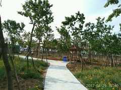 游乐设施-绵阳盛世樱花悠乐谷