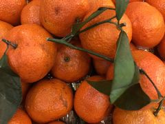 -禧福楼·十五年老店(科技城店)