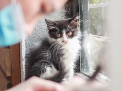 -五月木作·DIY木作文创体验店(北京路店)