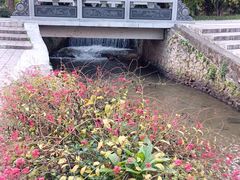 -荔枝公园(福田区)