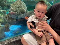 -聚福宝合苑食府(南头镇店)