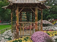 -上海共青森林公园