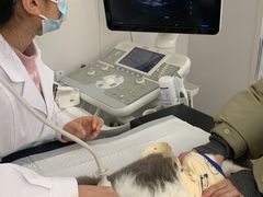 -邢大夫动物医院