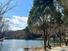 -玉湖村