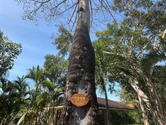 -三亚海棠湾万丽度假酒店