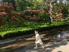 -诸城市恐龙博物馆