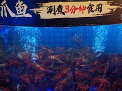 -福禧荟·海鲜自助