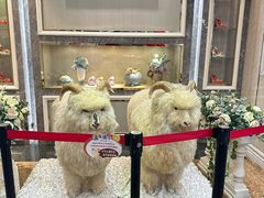 -新兴家喻酒家·羊城名宴(昌岗店)