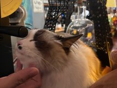 -金源食府(林乐路店)