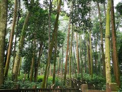 -凤栖山