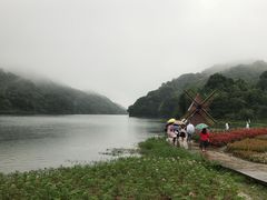 -广州市石门国家森林公园