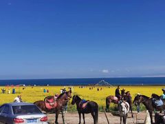 -青海湖国家重点风景名胜区
