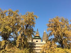 -北京石刻艺术博物馆(五塔寺)