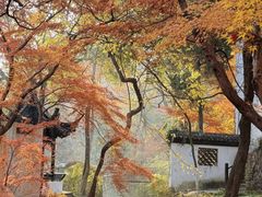 -狼山风景名胜区