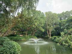 -上海醉白池公园